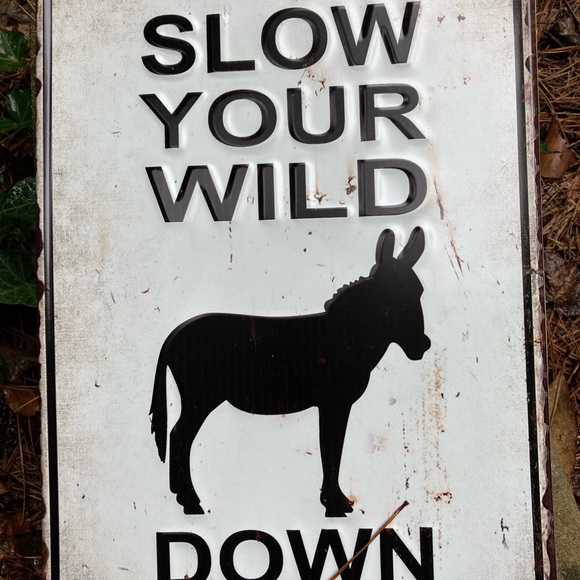 Humorous Donkey Sign - Picture 2 of 4